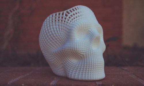 white human skull 3D artwork