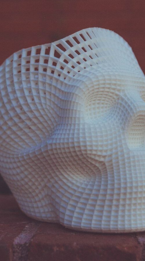 white human skull 3D artwork